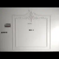 گچکاری وخرده کاری کارکلی وجزیی