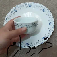 آرکوپال|ظروف سرو و پذیرایی|تهران, اوقاف|دیوار