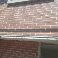 کاشیکاری|خدمات پیشه و مهارت|رشت, دخانیات|دیوار