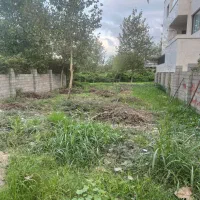 زمین ۳۰۴متری /ساحلی/سندتک برگ/باپروانه/زیباکنار