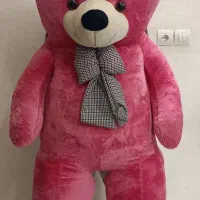 خرس بزرگ خارجی