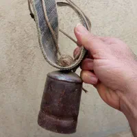 زنگوله خوش صدا