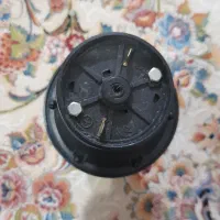 بوق گاوی|قطعات یدکی و لوازم جانبی|فومن, |دیوار