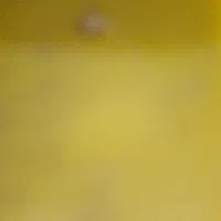 یک عدد قناری زرد گم شده سرکوره ها