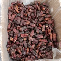 پیارم فقط 250|خوردنی و آشامیدنی|بندرعباس, |دیوار