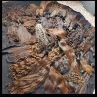 خریدار مو طبیعی و کوتاهی مو و فروش مو خام و رنگی