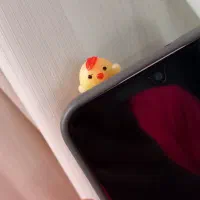 تزئین موبایل و لپتاپ جوجه