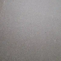 پالاز موکت کاملا نو