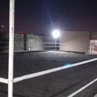 مجموعه پرورش وترین اسب عرب اهورااستاد|اسب و تجهیزات اسب‌سواری|اصفهان, فرودگاه شهید بهشتی|دیوار