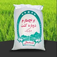 برنج کشت دوم فریدونکنار عمده