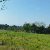 فروش زمین سند دار ۳۰۰ تا ۱۰۰۰ متر