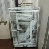 قفس بزرگ طوطی
