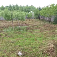 انجام کلیه موارد باغبانی و طراحی سه بعدی|خدمات باغبانی و درختکاری|صومعهسرا, |دیوار