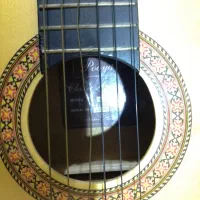 گیتار کلاسیک پویا G2|گیتار، بیس، امپلیفایر|فومن, |دیوار