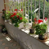 اجاره منزل مسکونی طبقه 2 راه جدا