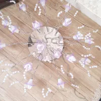 لوستر درحدنو