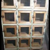 جفتگاه