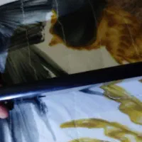 گوشیA05s|موبایل|کرمانشاه, |دیوار