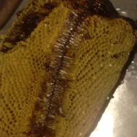 عسل طبیعی اصل اول تست کن بعدبگیر