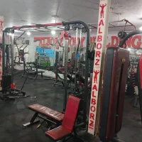 باشگاه بدنسازی و پرورش اندام|خدمات آموزشی|همدان, |دیوار