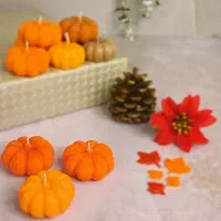 شمع انار و کدوی شب یلدا|صنایع دستی و سایر لوازم تزئینی|مشهد, رده|دیوار