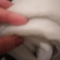 حراج لایه برای دوخت سرویس اشپزخونه