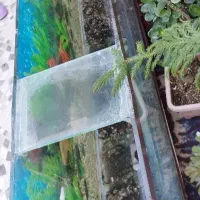 فروش اکواریوم بزرگ