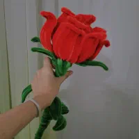 بیگ رز پیپ پاکنی