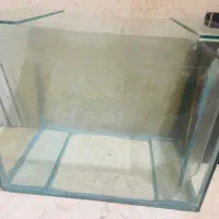 اکواریوم
