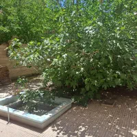 فروش-ویلایی-165متری