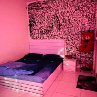 اجاره روزانه ساعتی جوابدهی ۲۴ساعته