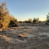 فروش-زمین-مزروعی-بافق