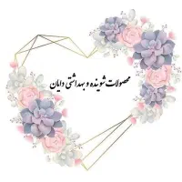 محصولات شوینده و بهداشتی دایان