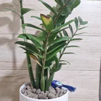 نیازمند مشاور املاک