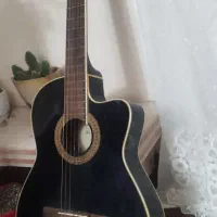 گیتار حرفه ای