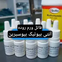 مکمل مست کننده همه اورجینال سهره طوطی عروس قناری