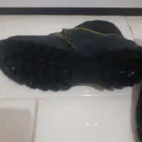 کفش کار|کیف، کفش، کمربند|پرند, فاز ۶|دیوار