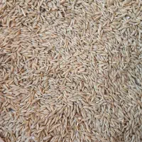 جو فله ای درجه یک