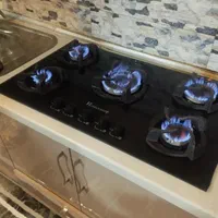 تعمیر اجاق گاز/هود/یخچال/لباسشویی/آبگرمکن بخاری|خدمات پیشه و مهارت|فردیس, فردیس|دیوار