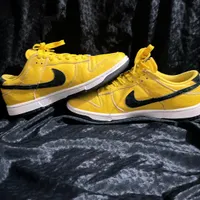 کتونی نایک dunk sb low|کیف، کفش، کمربند|تهران, جردن|دیوار
