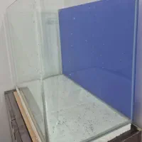 آکواریوم شیشه خم
