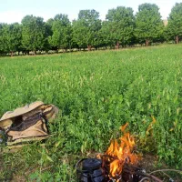 راهنمایی آرامش