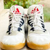 کفش|کیف، کفش، کمربند|مینودشت, |دیوار