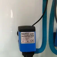 آکواریوم ماهی|ماهی|فردیس, داوری|دیوار