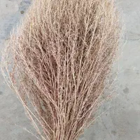 جارو فروشی