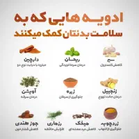 آموزش های رایگان