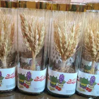 سنبل شب عید گندم