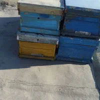 نه عدد کندو