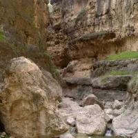 راهنمایی بکنین