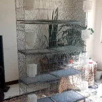 قفس پرون،قفس پژاوند 1033 قفس خورشیدی پایه قفس لانه|لوازم جانبی حیوانات|اندیشه, اندیشه فاز ۱|دیوار